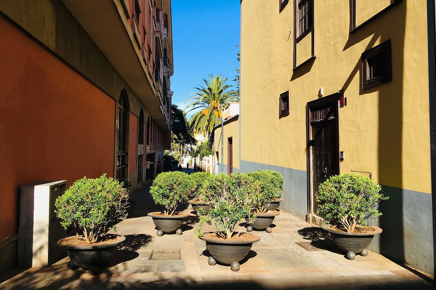 In San Andres auf Teneriffa ersetzen Blumenkübel Poller.